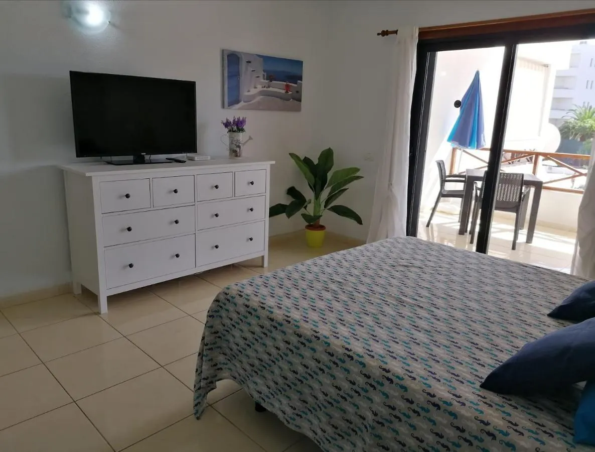Large Studio Apartment With Lovely Terrace And Wifi Los Cristianos  Španělsko